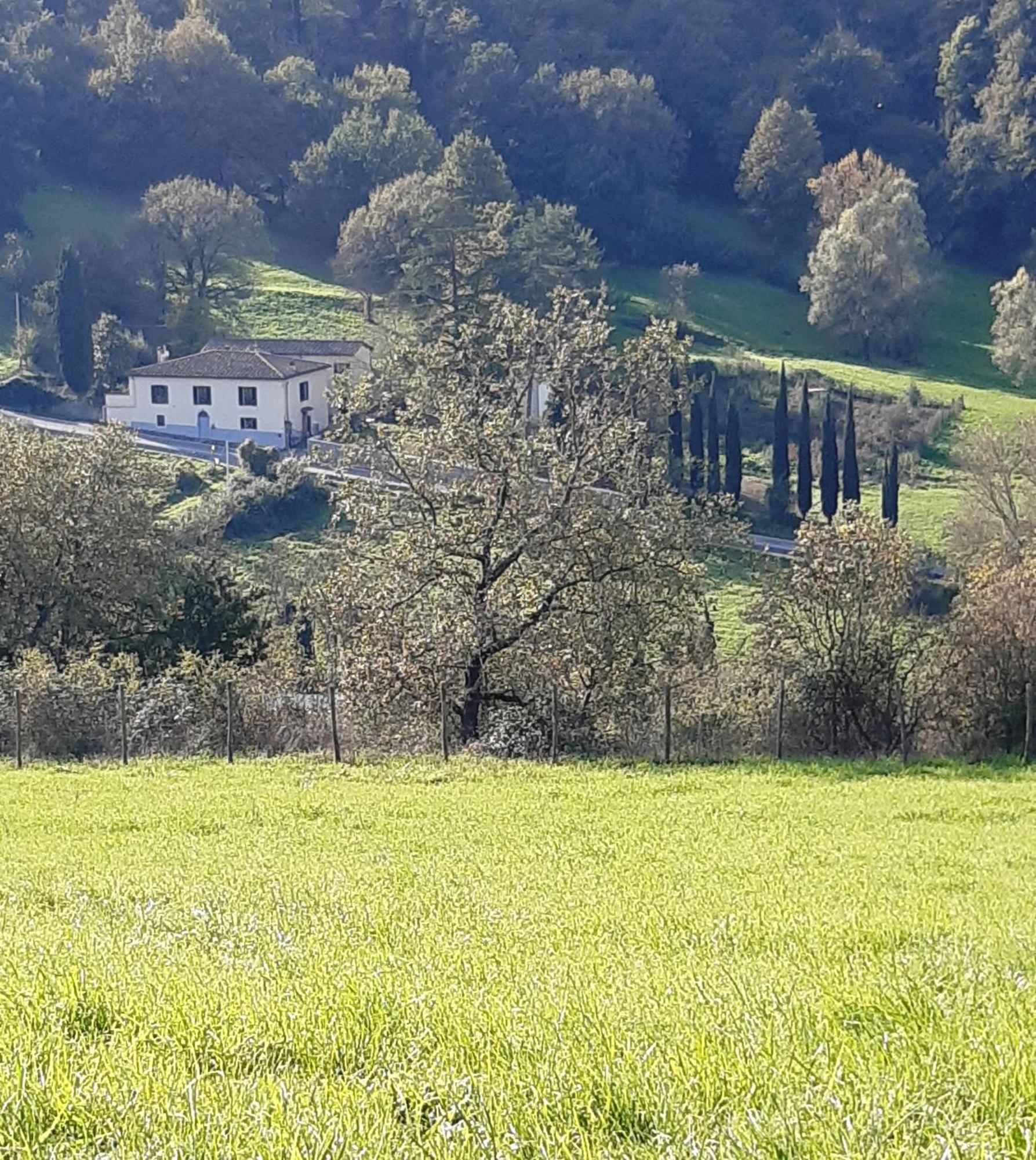 Casa Al Miglio Villa Pratolino Bagian luar foto